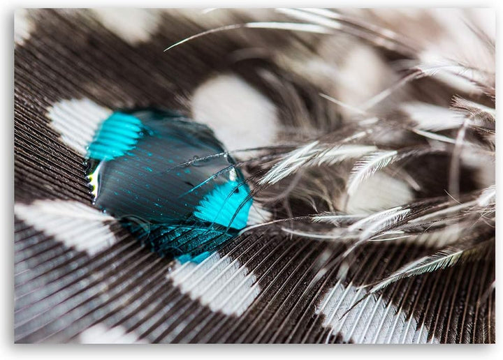 Feeby Wanddeko Wassertropfen Leinwandbild Kunstdruck abstrakt Braun 100x70 cm M14229 100x70 cm, M142