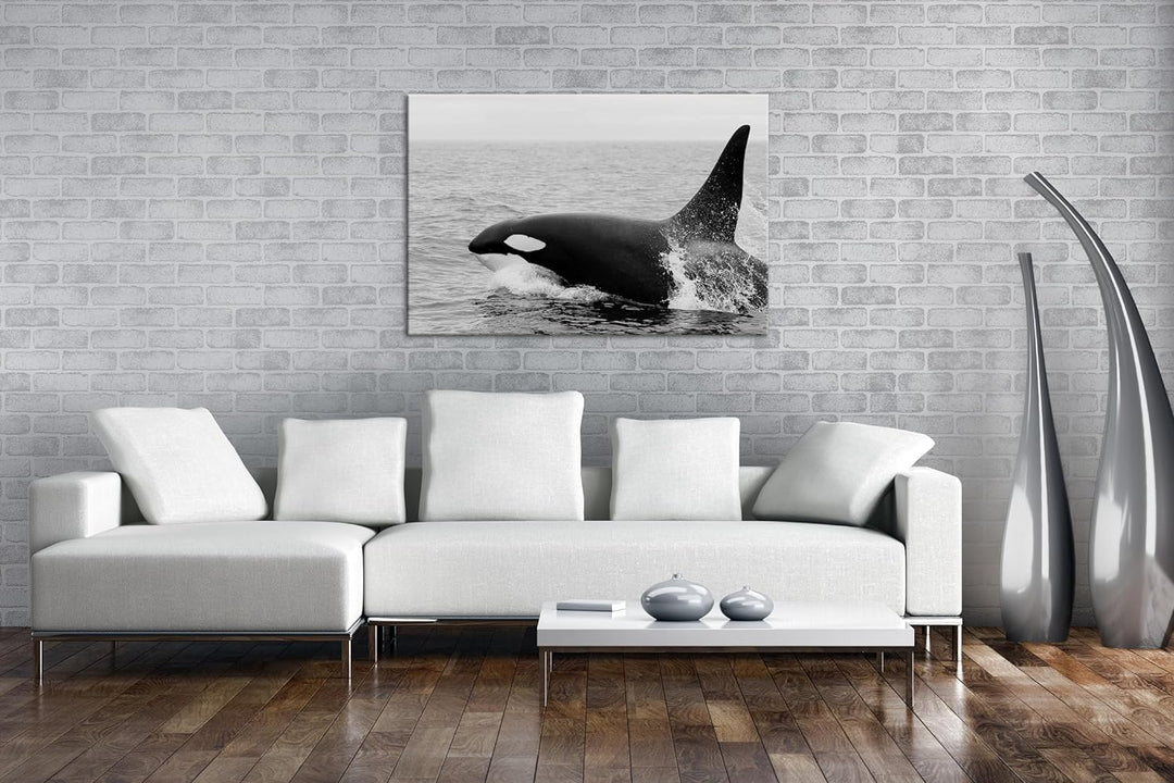 deyoli edler Orca Format: 60x40 Effekt: Schwarz/Weiss als Leinwand, Motiv fertig gerahmt auf Echthol