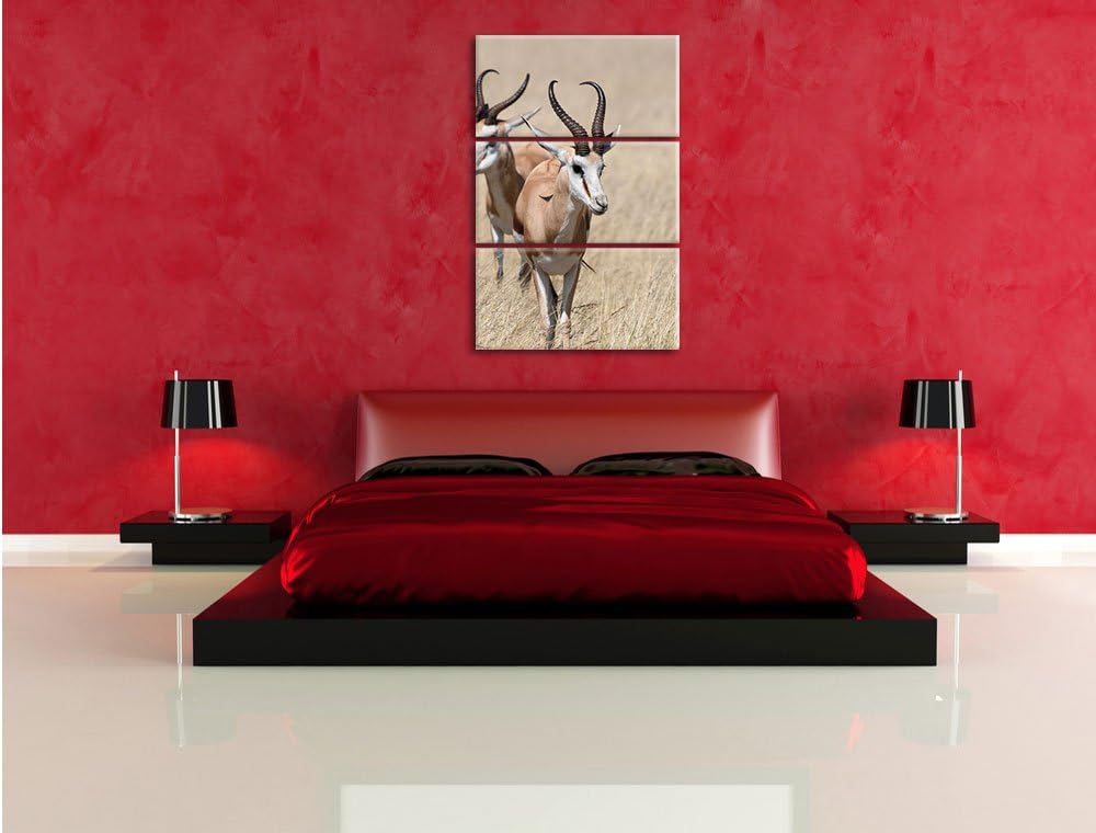 Pixxprint Tiere in Savanne Rehe Afrika als Leinwandbild/Grösse: 3 Teilig (120x80) cm/Wandbild/Kunstd