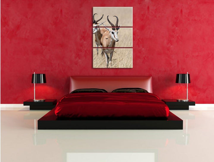 Pixxprint Tiere in Savanne Rehe Afrika als Leinwandbild/Grösse: 3 Teilig (120x80) cm/Wandbild/Kunstd