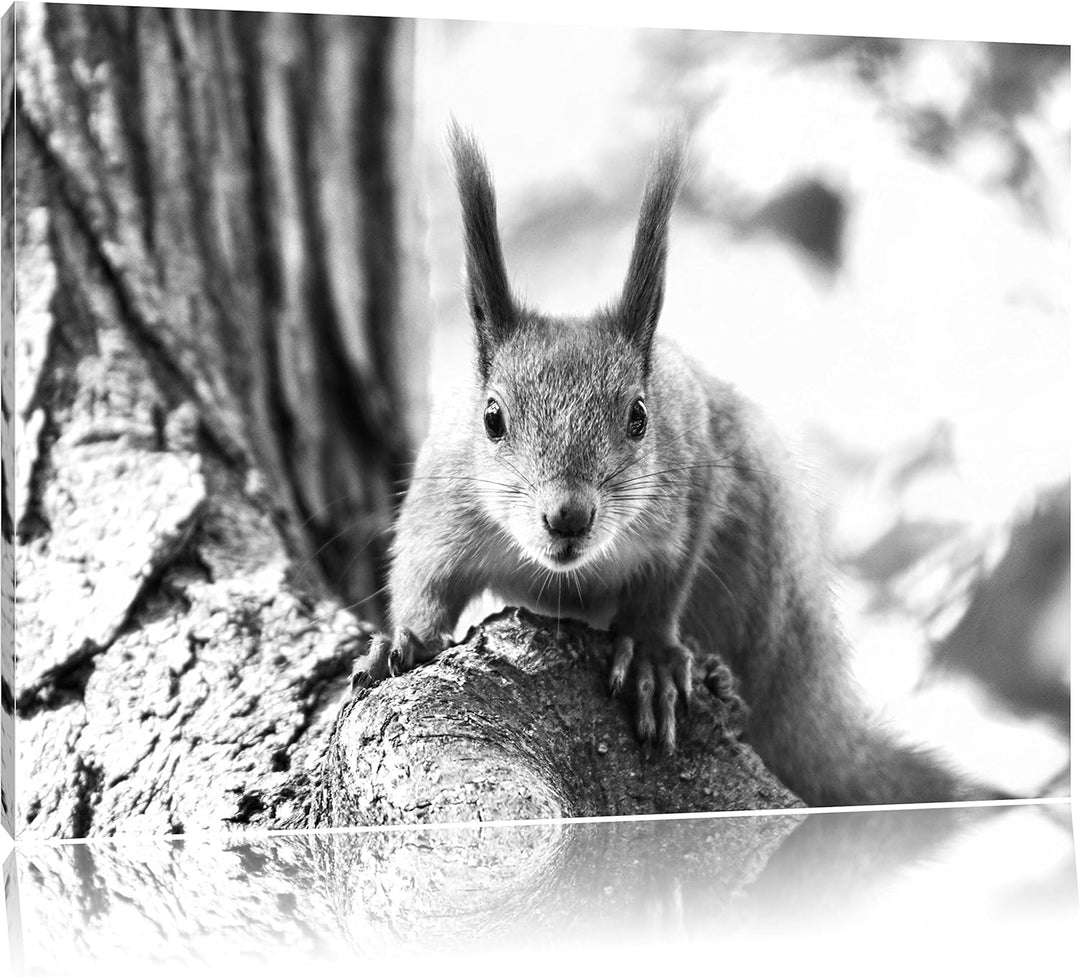 Pixxprint Eichhörnchen auf dem Baum / 100x70cm Leinwandbild bespannt auf Holzrahmen/Wandbild Kunstdr