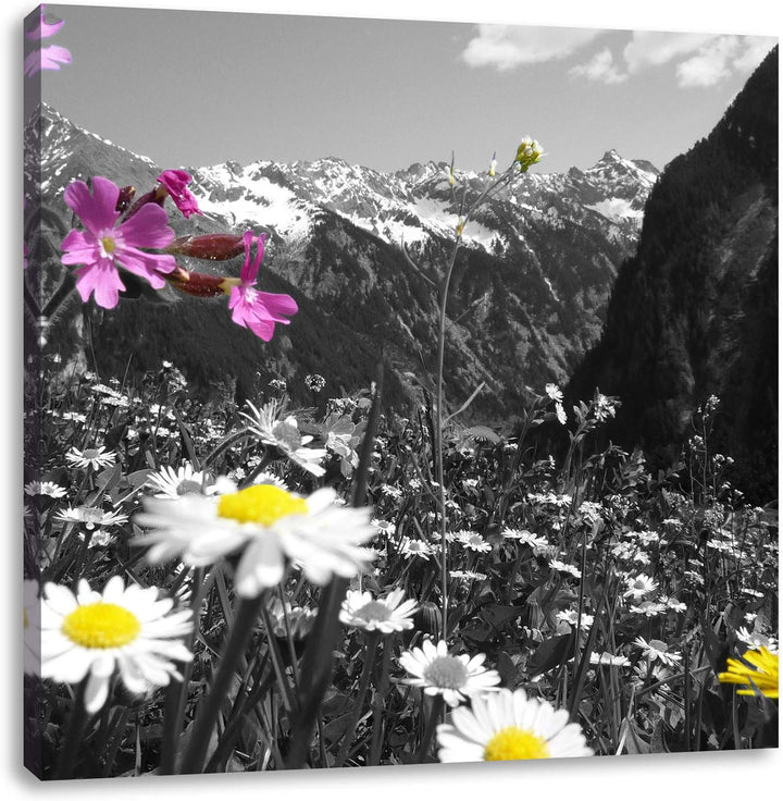 Pixxprint schöne Blumenwiese 70x70cm Leinwandbild Wandbild Kunstdruck, 70x70