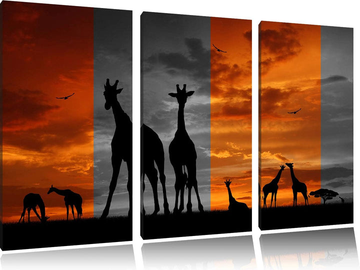 Afrika Giraffen im Sonnenuntergang schwarz/weiss 3-Teiler Leinwandbild 120x80 Bild auf Leinwand, XXL