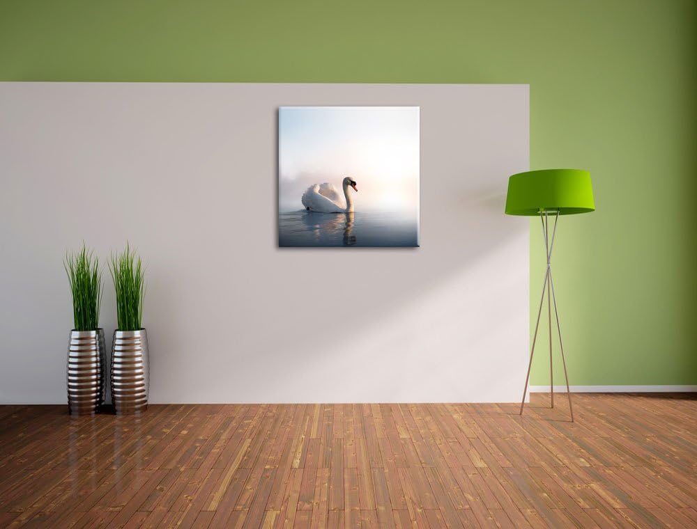 Pixxprint Traumhafter weisser Schwan im See, Format: 70x70 auf Leinwand, 70x70