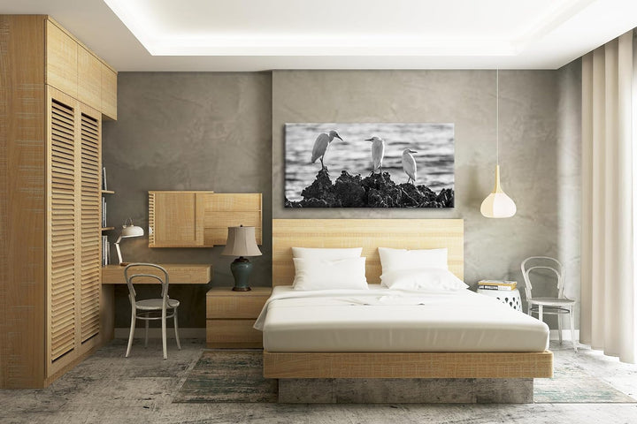 Vögel des Meeres Panorama 60x30 cm Effekt: Schwarz/Weiss als Leinwandbild, Motiv fertig gerahmt auf