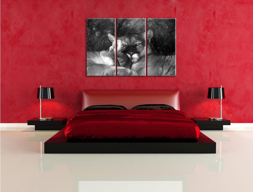 Pixxprint verschlafenes Puma Paar Kunst als Leinwandbild/Grösse: 3 Teilig (120x80) / Wandbild/Kunstd