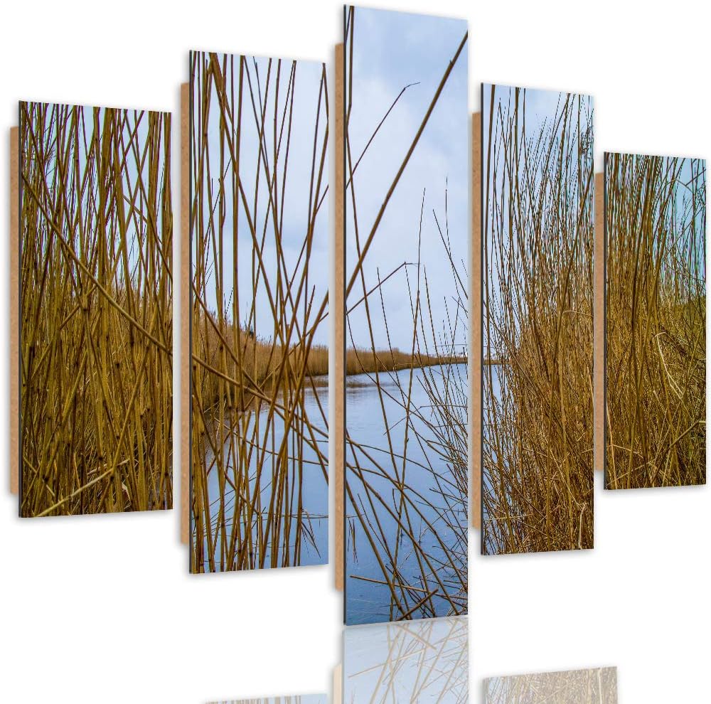 Feeby Deco Bild 5 Teilig Natur Wanddekoration Kalmus See Wasser Himmel braun 150x100 cm Deco panel 1