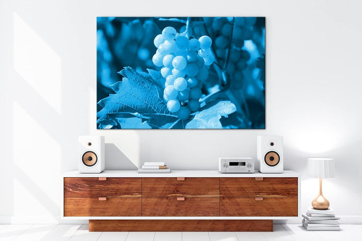 deyoli frische erntereife Weintrauben Format 80x60 Effekt: Monocrome Blau als Leinwandbild, Motiv fe