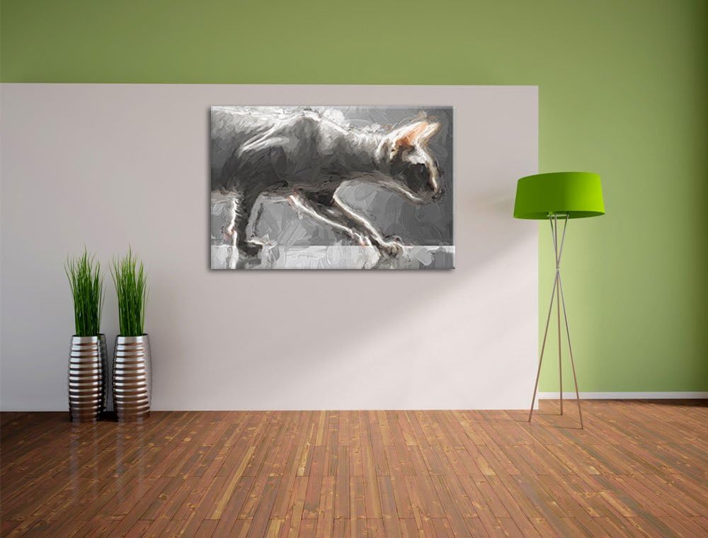Pixxprint Einzigartige Sphynx Katze / 100x70cm Leinwandbild bespannt auf Holzrahmen/Wandbild Kunstdr