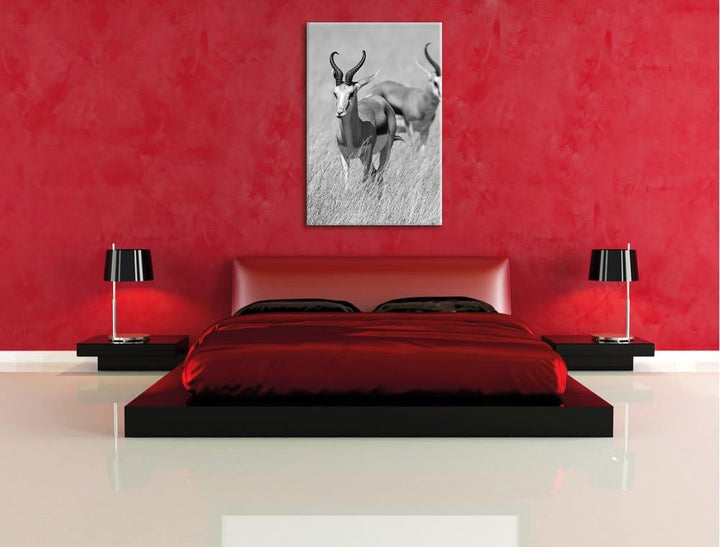 Pixxprint Tiere in Savanne, Rehe, Afrika schwarz/weiss, Format: 70x100 auf hochkantiges Leinwand, XX
