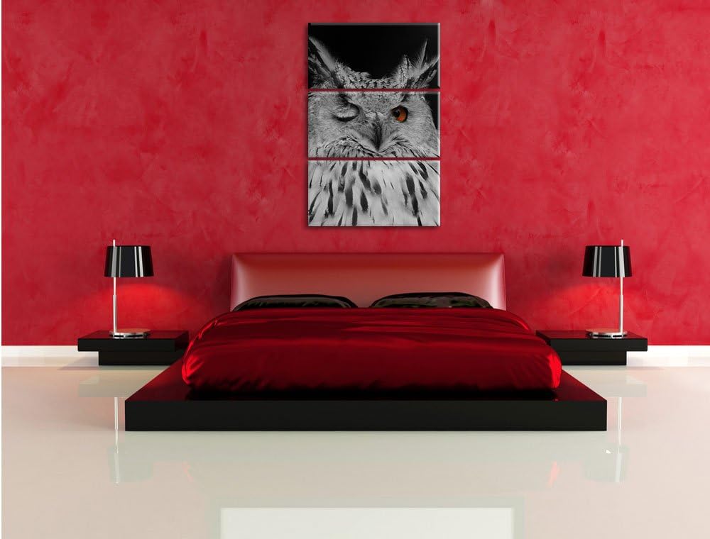 Pixxprint Dark schöne Waldohreule zwinkert schwarz/weiss 3-Teiler Leinwandbild 120x80 Bild auf Leinw