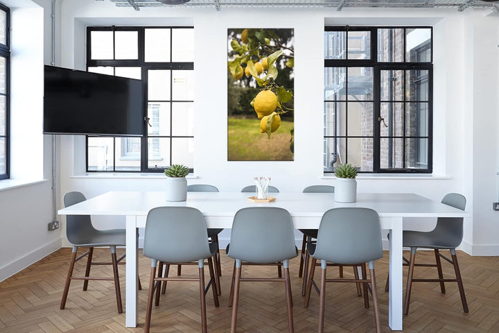 reife Zitronen am Baum Panorama 120x60 cm als Leinwandbild, Motiv fertig gerahmt auf Echtholzrahmen,