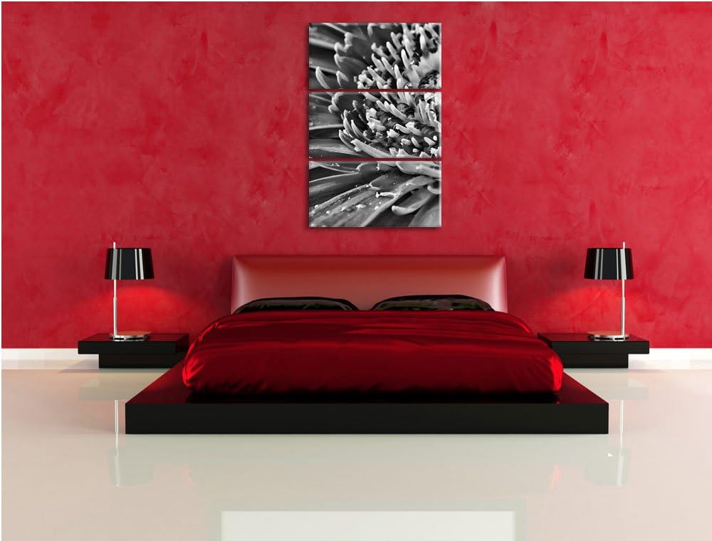 Pixxprint Gerbera mit Wassertropfen als Leinwandbild/Grösse: 3 Teilig (120x80) cm/Wandbild/Kunstdruc