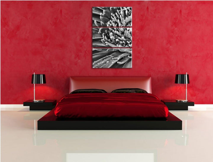 Pixxprint Gerbera mit Wassertropfen als Leinwandbild/Grösse: 3 Teilig (120x80) cm/Wandbild/Kunstdruc