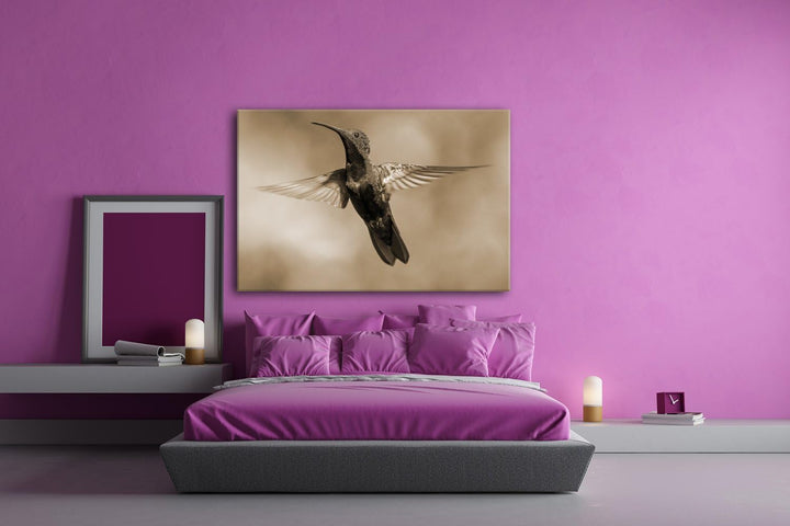 deyoli flinker Kolibri Format: 80x60 Effekt: Sepia als Leinwand, Motiv fertig gerahmt auf Echtholzra