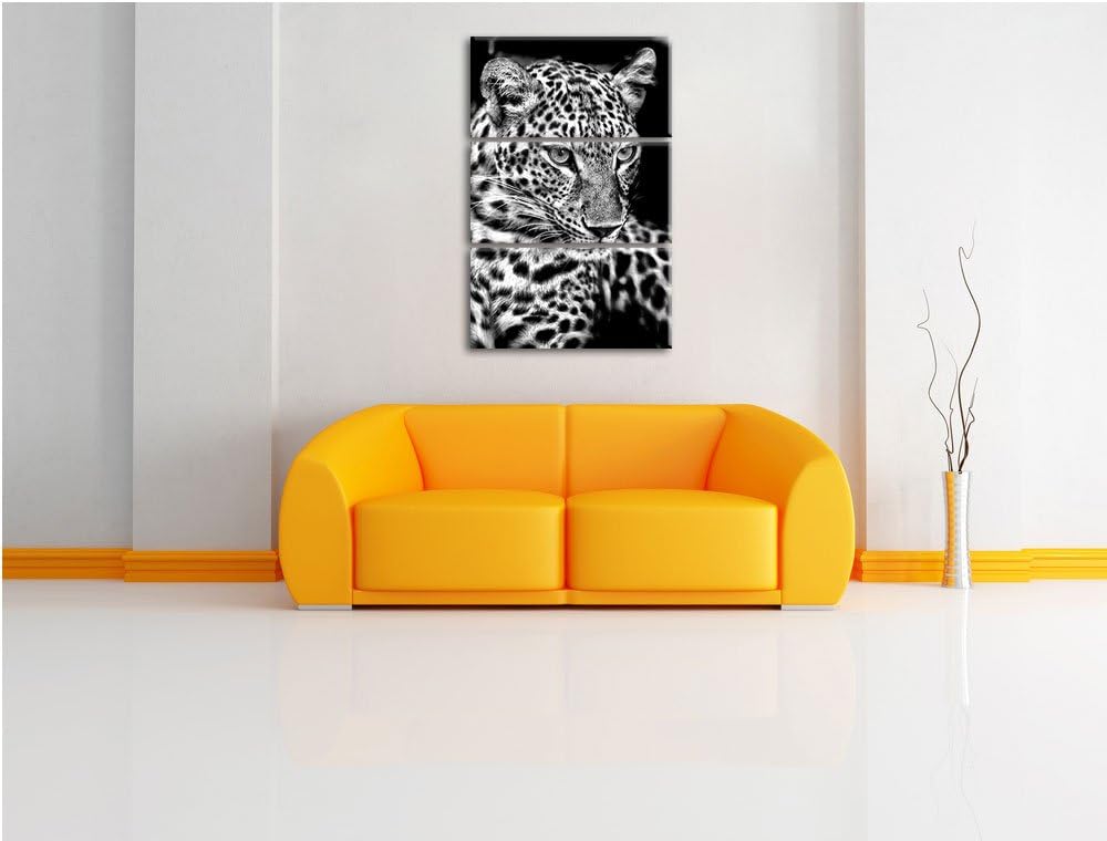 Pixxprint Leopard mit blauen Augen als Leinwandbild/Grösse: 3 Teilig (120x80) cm/Wandbild/Kunstdruck