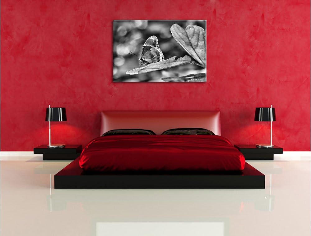 Pixxprint kleine bräunlicher Schmetterling / 100x70cm Leinwandbild bespannt auf Holzrahmen/Wandbild