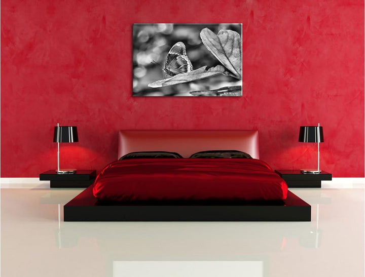 Pixxprint kleine bräunlicher Schmetterling / 100x70cm Leinwandbild bespannt auf Holzrahmen/Wandbild