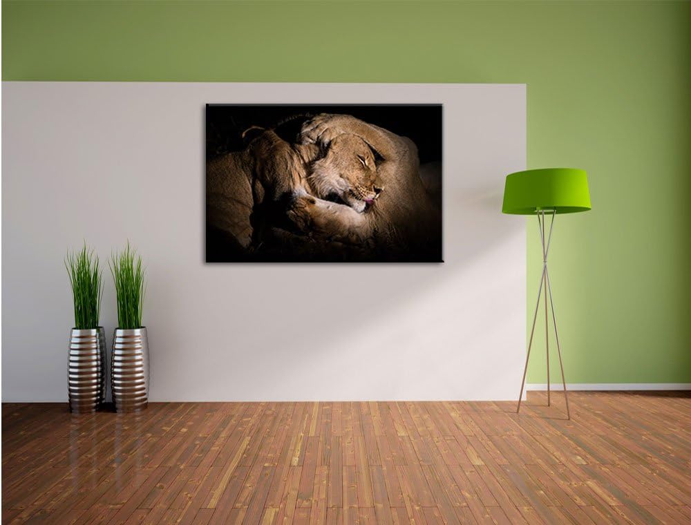 Pixxprint Männer & Frauen Löwe kuscheln, Format: 100x70 auf Leinwand, 100x70