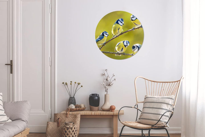MuchoWow Wandbild Rund Wanddeko Deko Wohnzimmer Bilder 60x60 cm Vogel - Blaumeise - Äste - Sonne