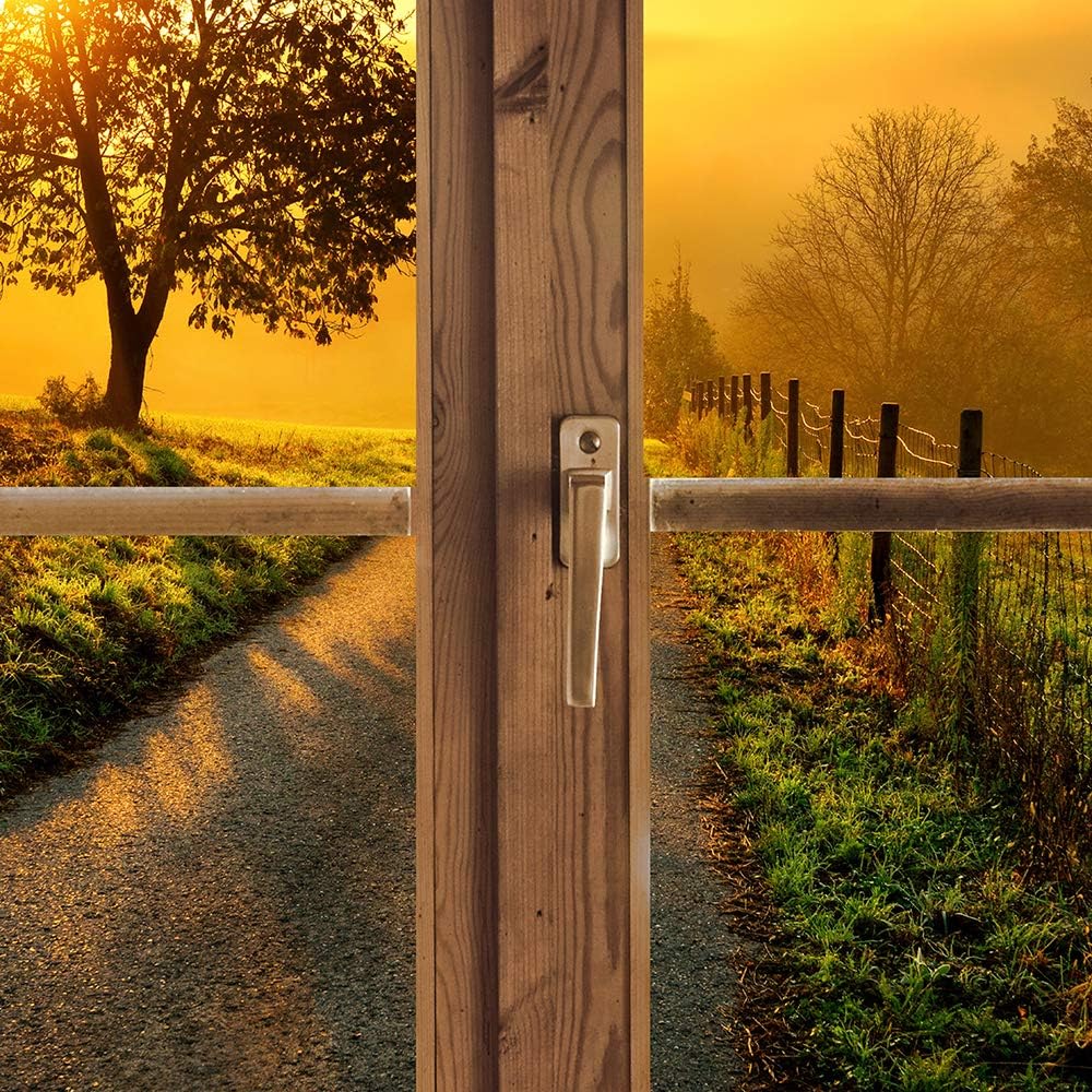 Feeby Vlies Leinwandbild Sonnenuntergang Landstrasse Baum 90x60 cm Druckbild Wandbild Wanddekoration