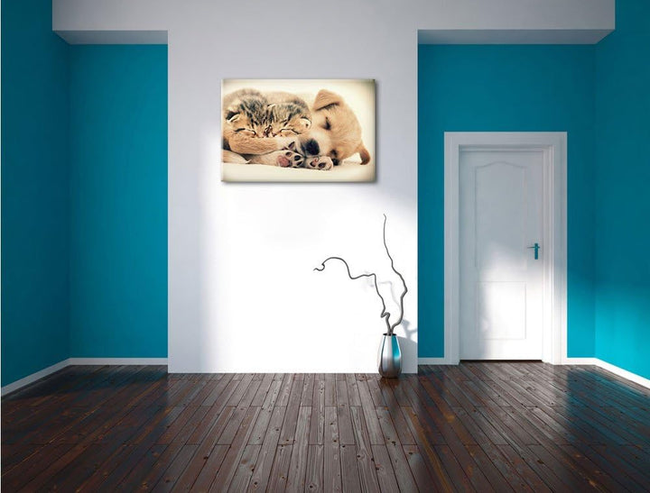Pixxprint Hundewelpe mit kleinen Kätzchen / 100x70cm Leinwandbild bespannt auf Holzrahmen/Wandbild K