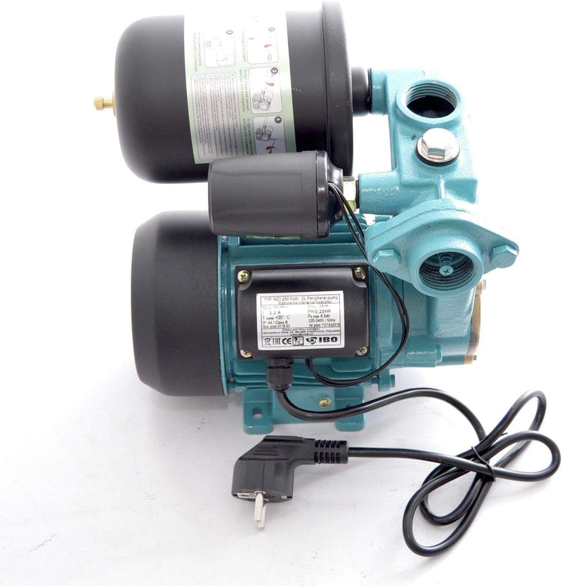 Hauswasserwerk 2 Liter Druckbehälter Einstufige Gartenpumpe 250W 2100 L/h 3,5 Bar WZI250
