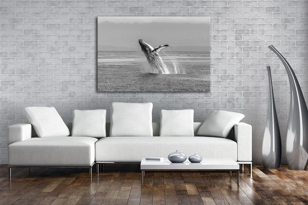 deyoli atemberaubender Buckelwal im Meer Effekt: Schwarz/Weiss im Format: 80x60 als Leinwandbild, Mo