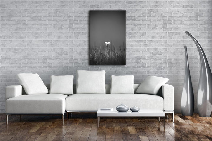 deyoli einzelnes Gänseblümchen Effekt: Schwarz/Weiss Format: 80x60 als Leinwandbild, Motiv fertig ge