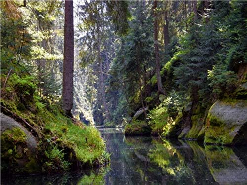 CALVENDO Puzzle Kirnitzschtal im Elbsandsteingebirge 1000 Teile Lege-Grösse 64 x 48 cm Foto-Puzzle B