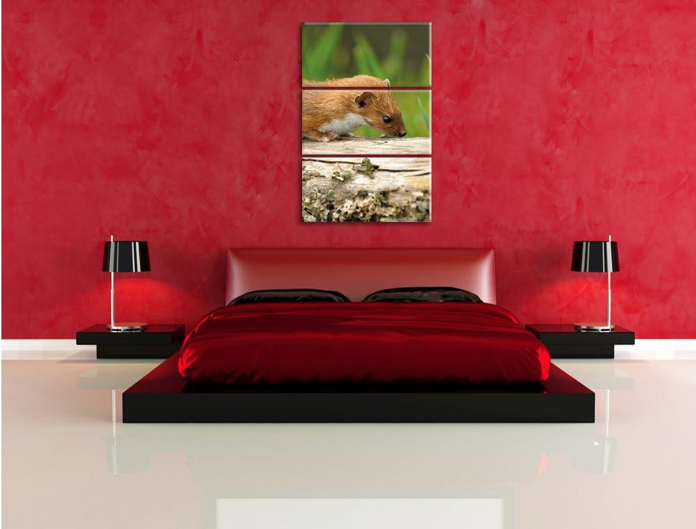 Pixxprint Fretchen auf Baumstamm 3-Teiler Leinwandbild 120x80 Bild auf Leinwand