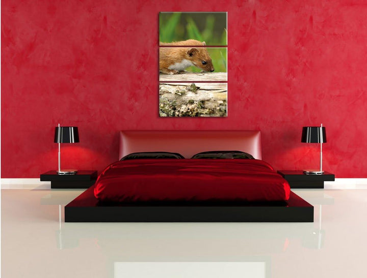 Pixxprint Fretchen auf Baumstamm 3-Teiler Leinwandbild 120x80 Bild auf Leinwand