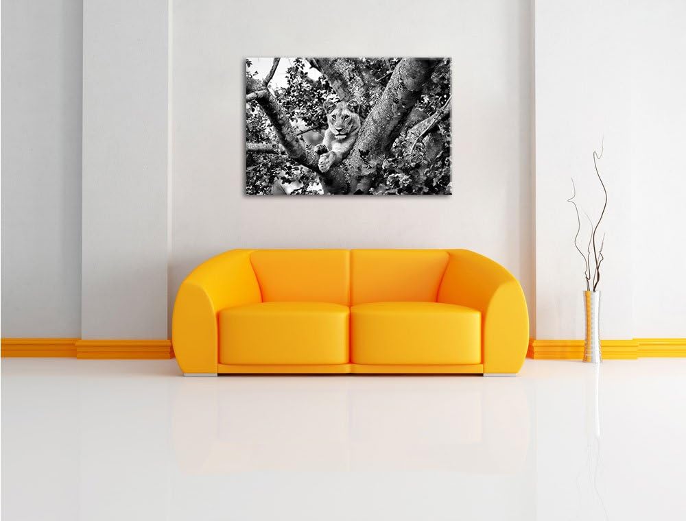 Pixxprint schöne Löwin auf Baum als Leinwandbild/Grösse: 100x70 / Wandbild/Kunstdruck/fertig bespann