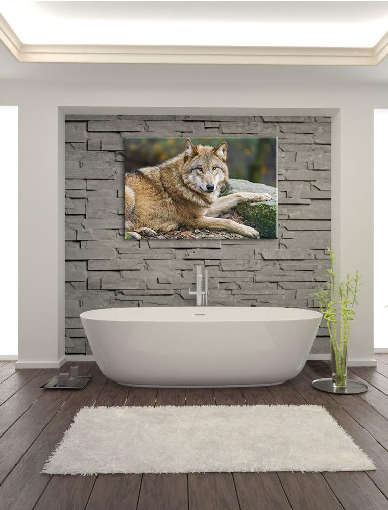 Pixxprint stolzer Wolf auf Stein auf Leinwand, XXL riesige Bilder fertig gerahmt mit Keilrahmen, Kun