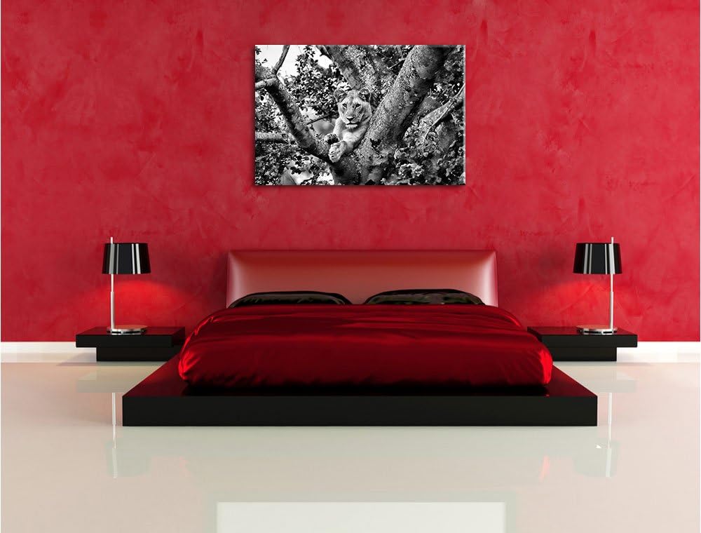 Pixxprint schöne Löwin auf Baum als Leinwandbild/Grösse: 100x70 / Wandbild/Kunstdruck/fertig bespann