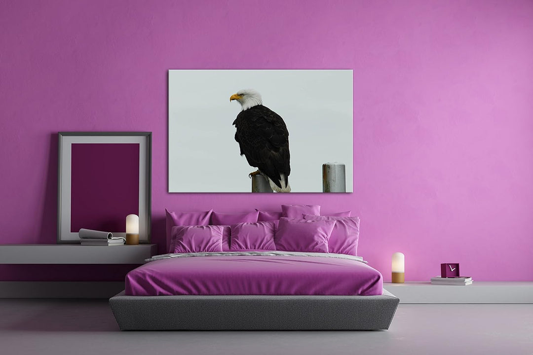 deyoli anmutiger Adler auf Einer Stange Format: 80x60 als Leinwandbild, Motiv fertig gerahmt auf Ech