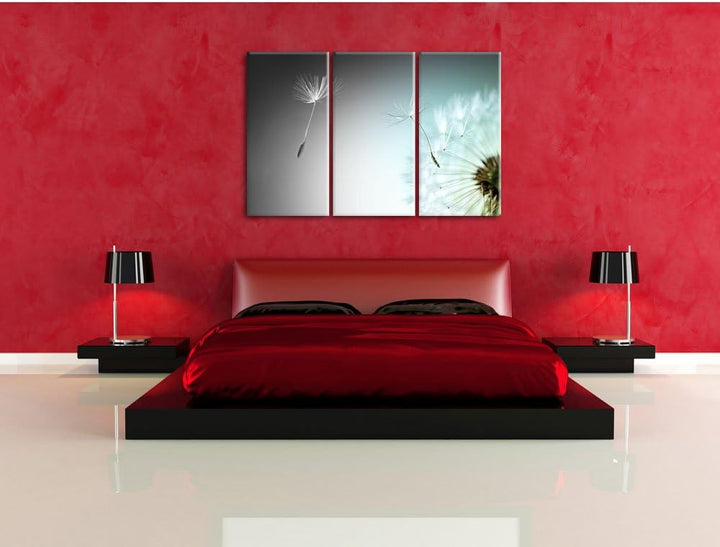 Pixxprint Löwenzahn Pusteblume als Leinwandbild/Grösse: 3 Teilig (120x80 cm) cm/Wandbild/Kunstdruck/