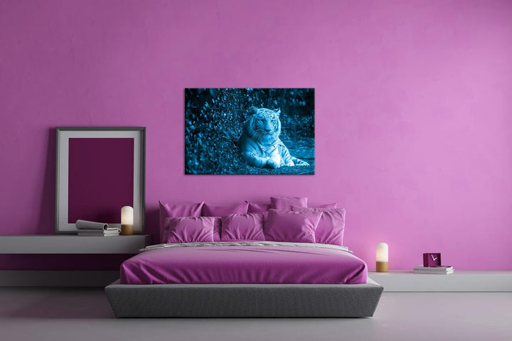 deyoli anmutiger weisser Tiger Format 80x60 Effekt: Monocrome Blau als Leinwandbild, Motiv fertig ge