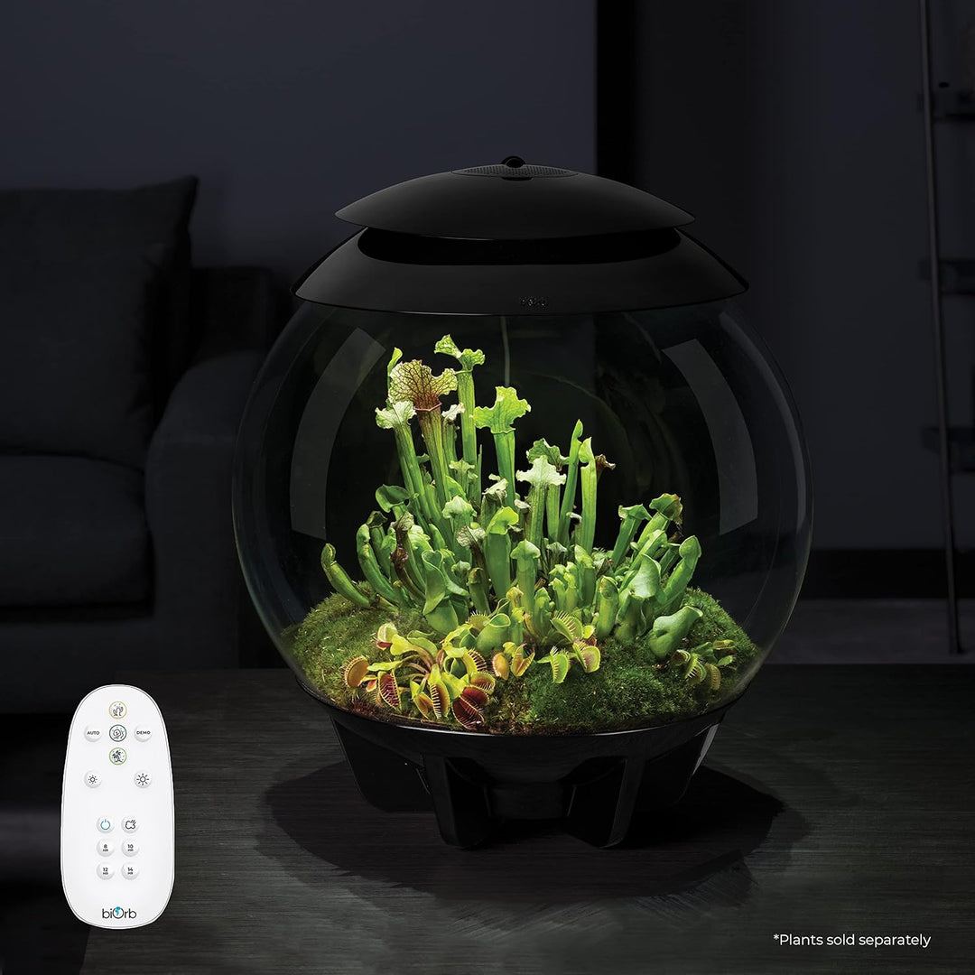 biOrb AIR 30 schwarz - Terrarium mit LED-Beleuchtung / Acryl-Becken zur Pflanzenpflege / für empfind