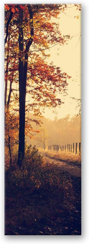 Febby Vlies Leinwandbild XXL Waldweg 50x150 cm Wandbild Kunst Bilder Schlafzimmer Deko Wohnzimmer He