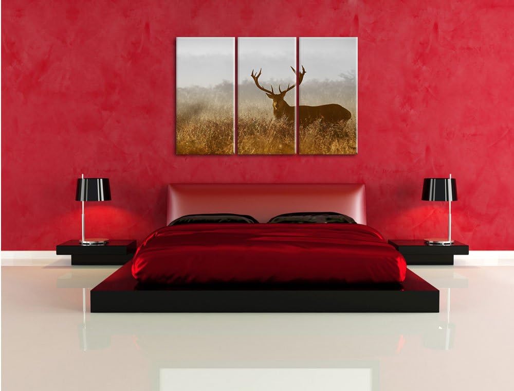 Pixxprint Rotwild Hirsch in Abenddämmerung als Leinwandbild/Grösse: 3 Teilig (120x80 cm) cm/Wandbild
