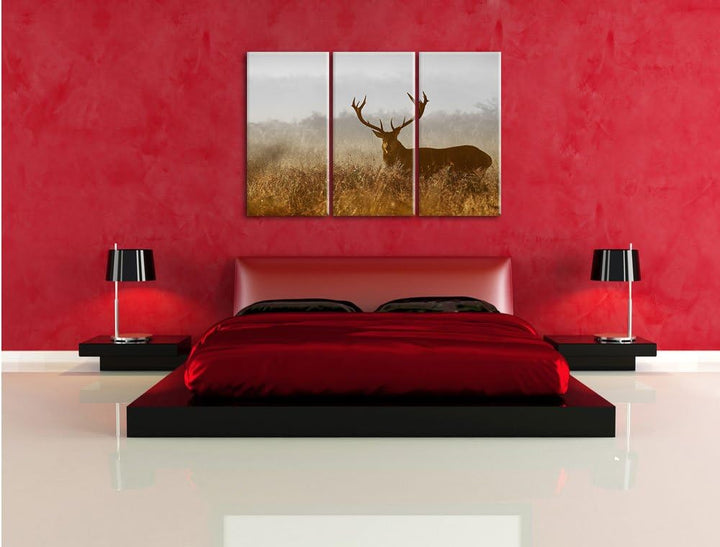 Pixxprint Rotwild Hirsch in Abenddämmerung als Leinwandbild/Grösse: 3 Teilig (120x80 cm) cm/Wandbild