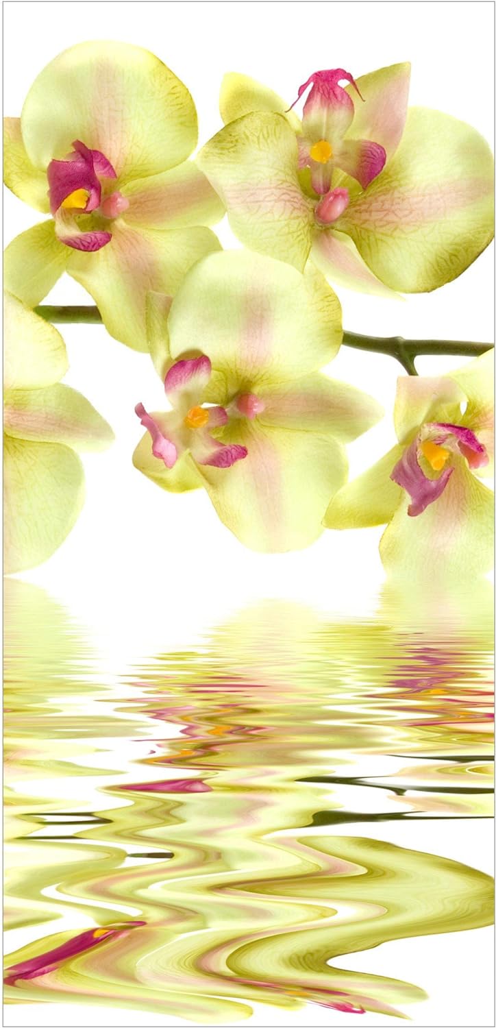 Bilderwelten Raumteiler Dreamy Orchid Waters 250x120cm inkl. transparenter Halterung, inkl. transpar