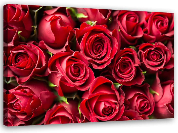 Feeby Bild auf Vlies Leinwand Rote Rosen 90x60 cm Kunstdruck Modern Wandbilder Deko Flur Wohnzimmer