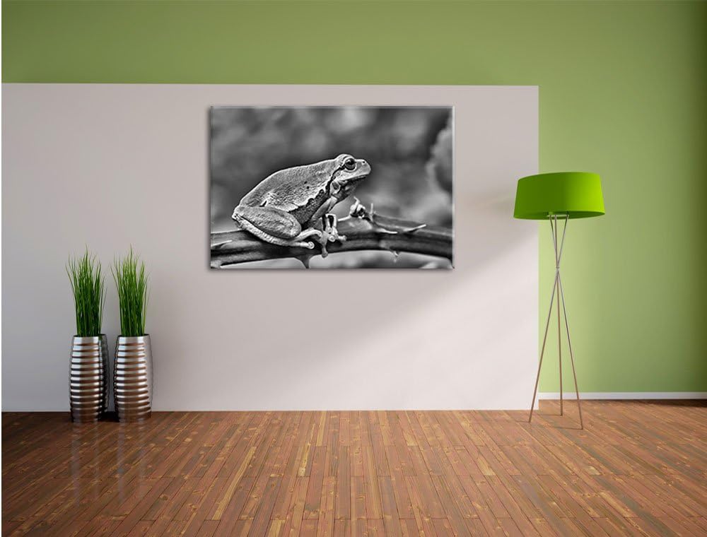 Pixxprint Kleiner Frosch auf Dornenast / 100x70cm Leinwandbild bespannt auf Holzrahmen/Wandbild Kuns