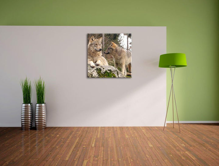Pixxprint Wölfe im Wald, Format: 70x70 auf Leinwand, XXL riesige Bilder fertig gerahmt mit Keilrahme