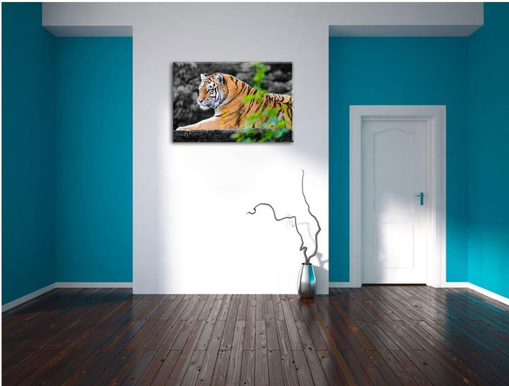 anmutiger Tiger auf Baumstamm schwarz/weiss auf Leinwand, XXL riesige Bilder fertig gerahmt mit Keil
