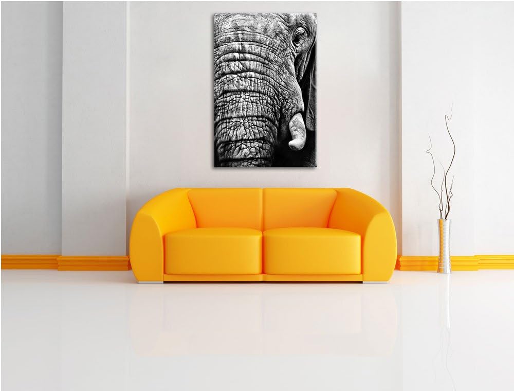Pixxprint Elefant im Porträt als Leinwandbild | Grösse: 100x70 cm | Wandbild | Kunstdruck | fertig b