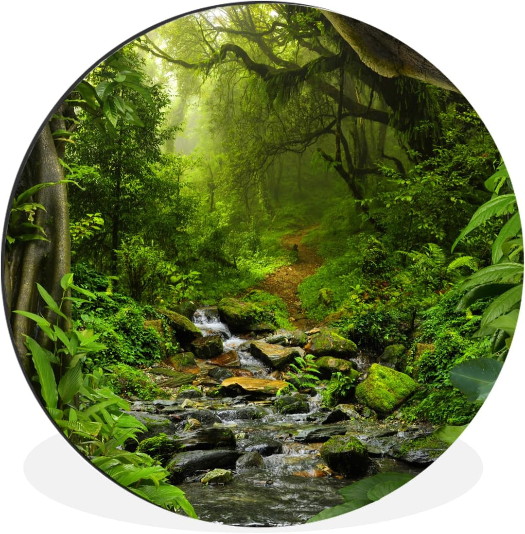 MuchoWow Wandbild Rund Wanddeko Deko Wohnzimmer Bilder 30x30 cm Natur - Wasser - Dschungel - Wald -
