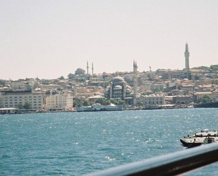 Lomography f110c3 Color Tiger 110 3er-Pack (Farbfilm)